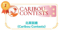 Caribou contests 北美驯鹿数学